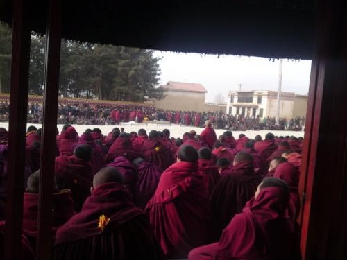 Prayer session in Kirti monastery