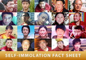 Self-Immolation Fact Sheet Self-Immolation Fact Sheet