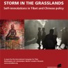 Storm in the Grasslands
