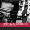 A Great Mountain Burned by Fire