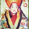 The 11th Panchen Lama