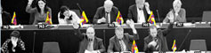 eu-flags-pana
