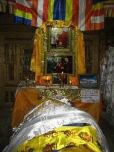 Pema Dorjee