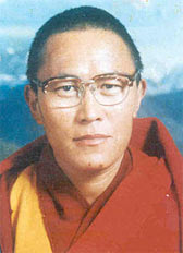 Tenzin Delek Rinpoche