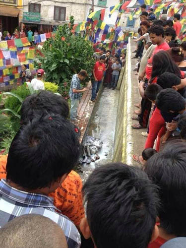 Karma Ngedon Gyatso