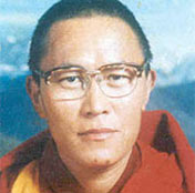 Tenzin Delek Rinpoche
