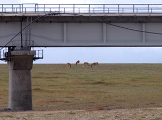 railway bridge