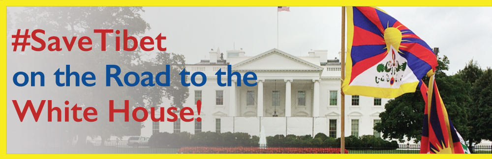 US Elections