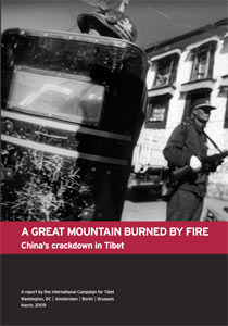 A Great Mountain Burned by Fire