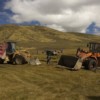 gold mining