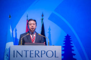 Meng Hongwei